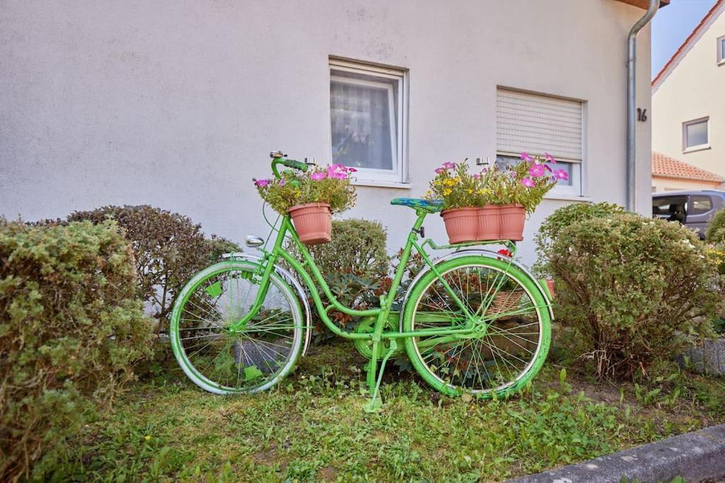 Mona - Idyllisches Oertchen Apartment บูเคน ภายนอก รูปภาพ
